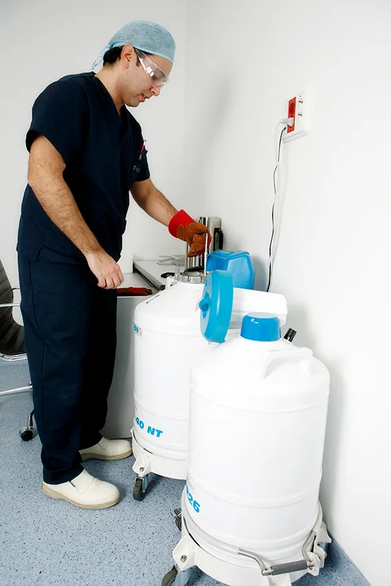 FIV Valencia — photo 5