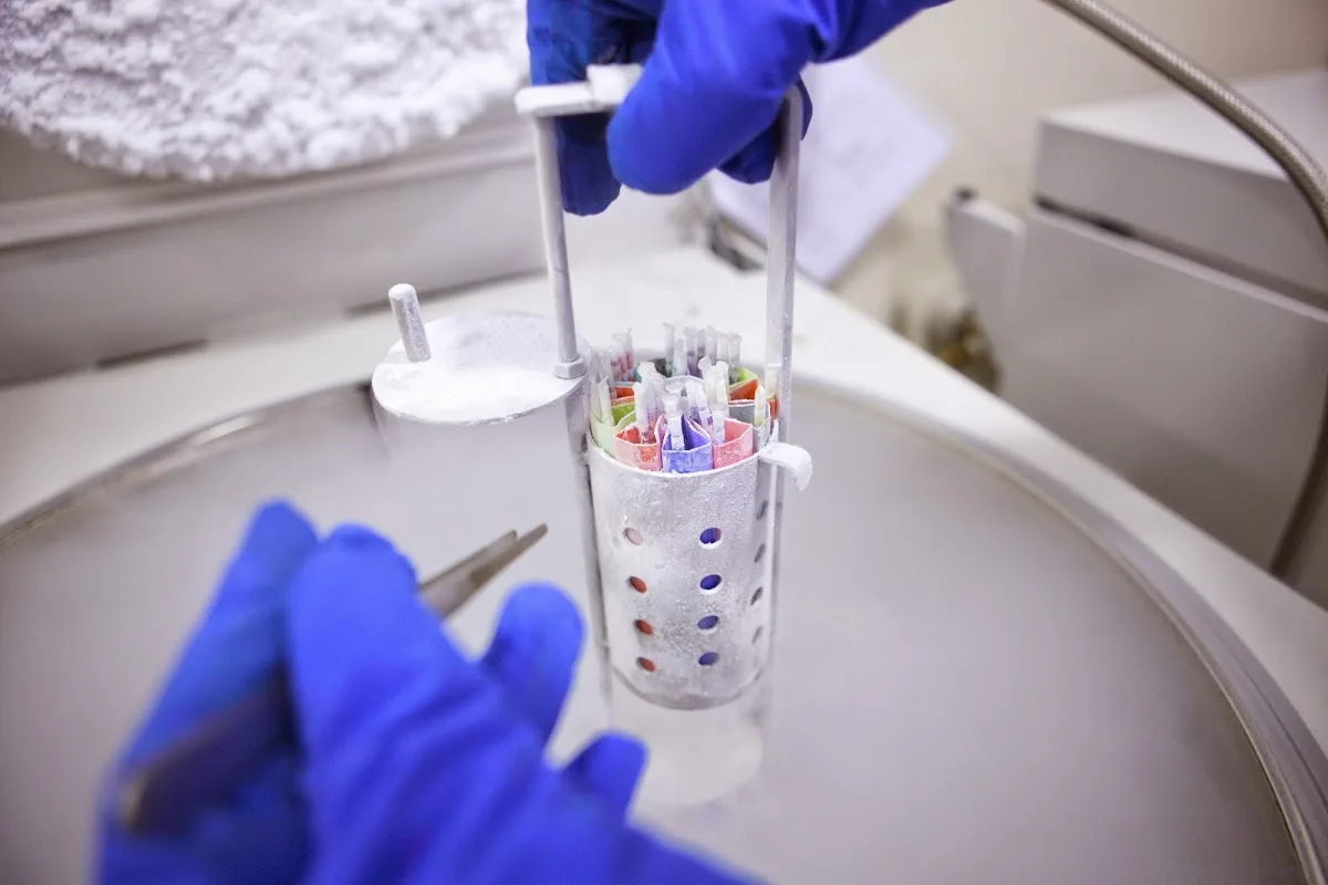 Crea Centro Médico de Fertilidad y Reproducción Asistida — photo 4