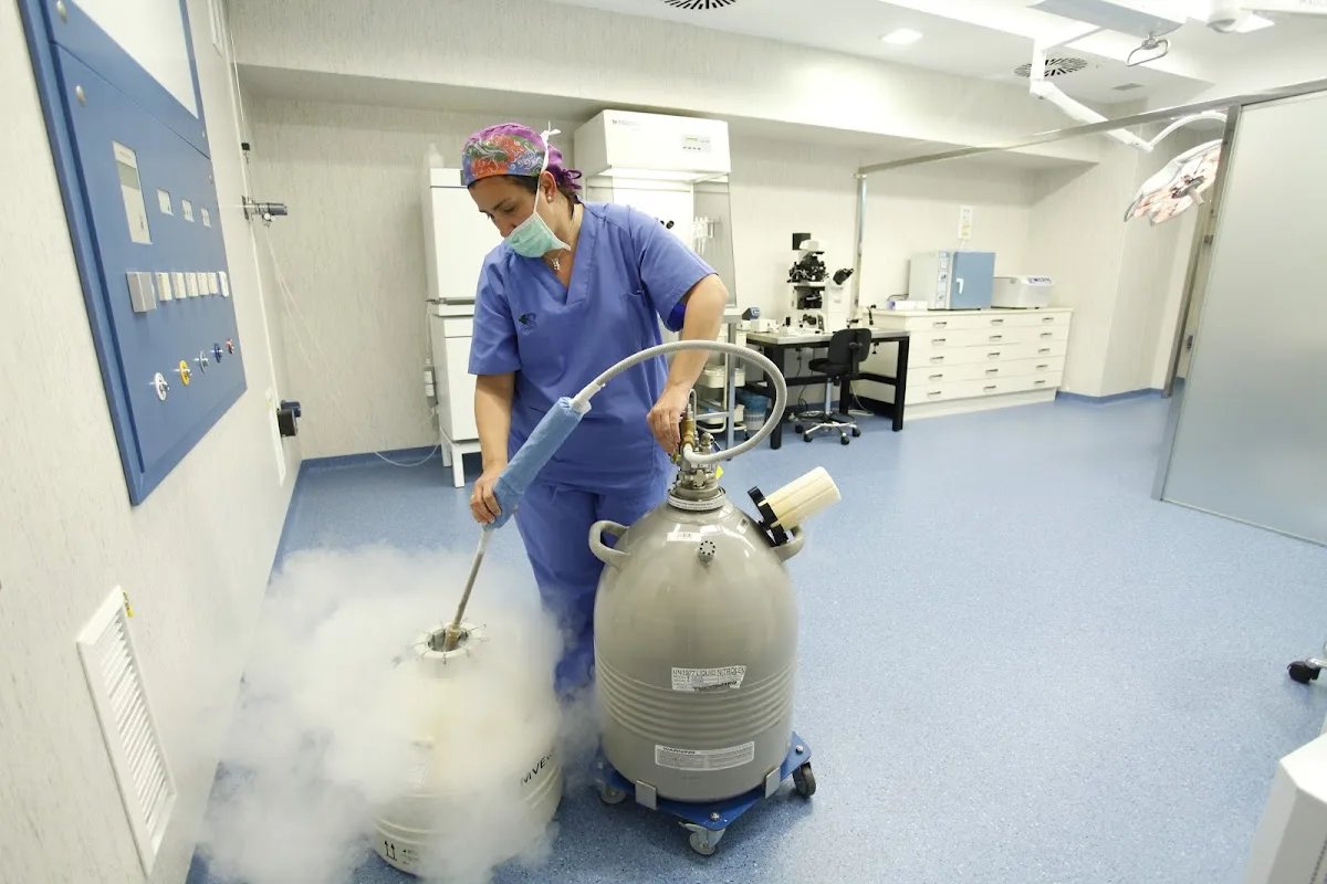 FIV Ochoa - Reproducción Asistida Marbella — photo 2