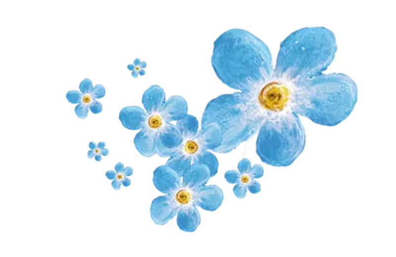 Fertility Clinic INVICTA