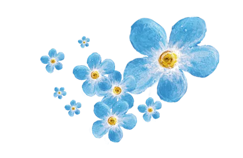 Fertility Clinic INVICTA — photo 1