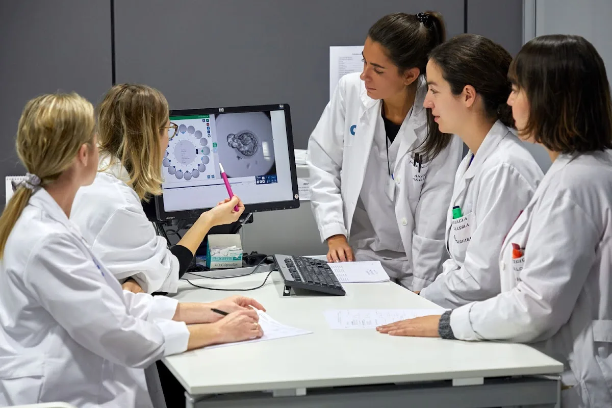 IVF-Life Donostia (Instituto Vasco de Fertilidad) — photo 4