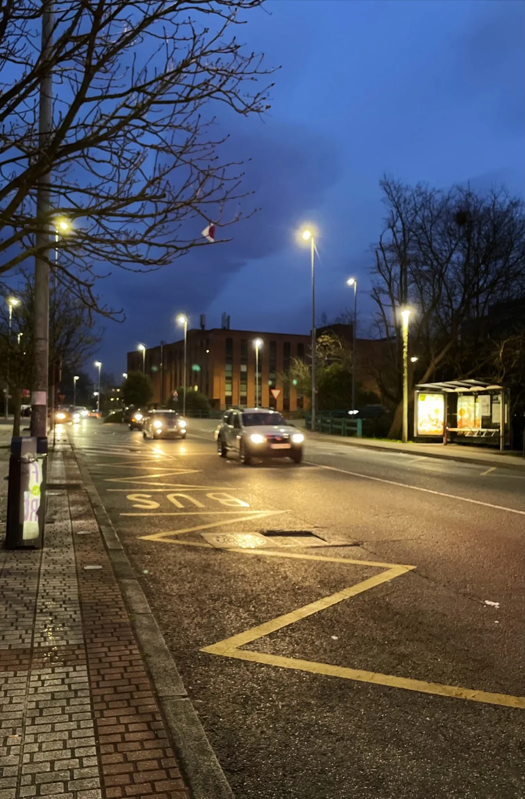 IVI Bilbao - Clínica de Reproducción Asistida y Fertilidad — photo 4