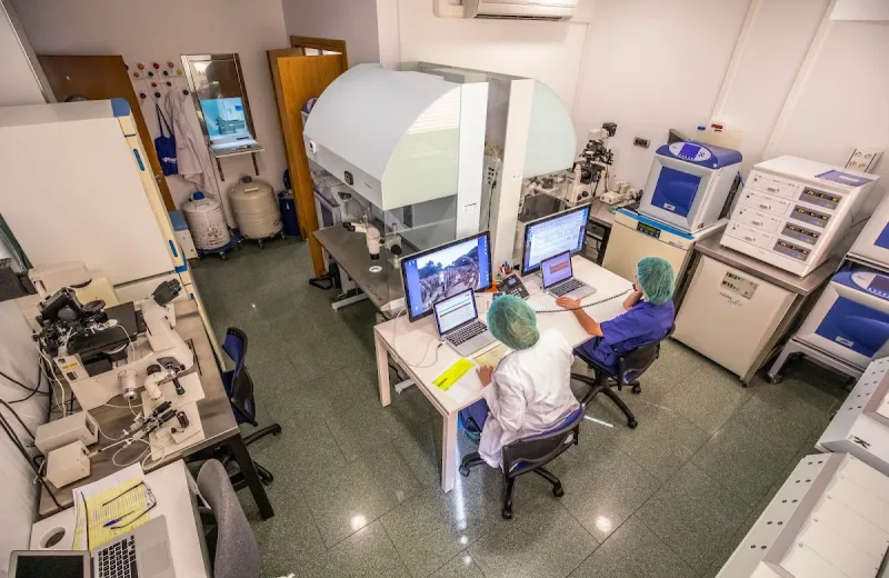 Instituto de Fertilidad Clínica Rincón S.L.