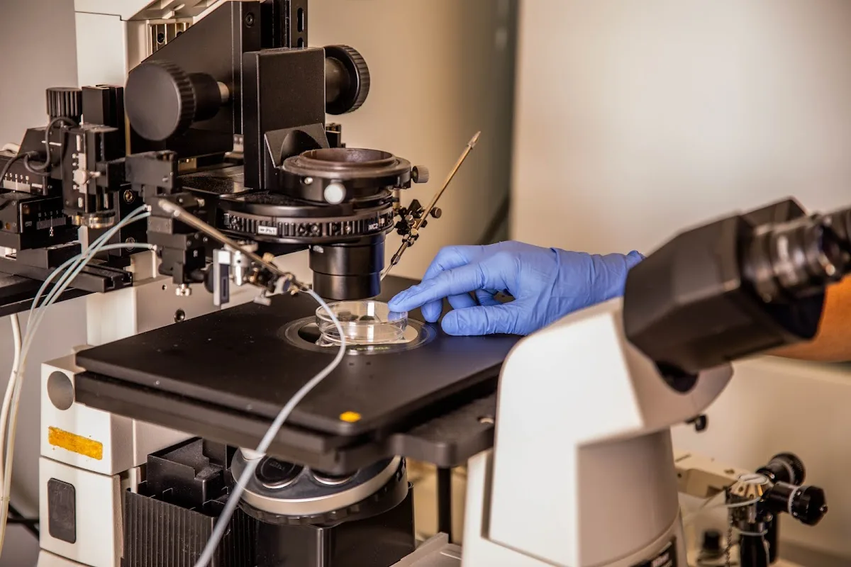 Instituto de Fertilidad Clínica Rincón S.L. — photo 3