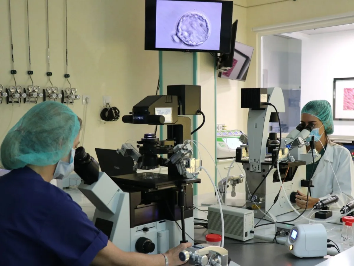 Ginemed Sevilla — photo 2