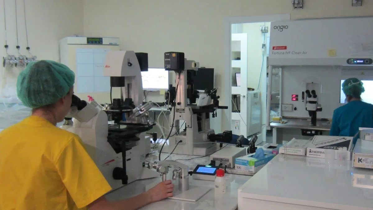 Ginemed Sevilla — photo 1