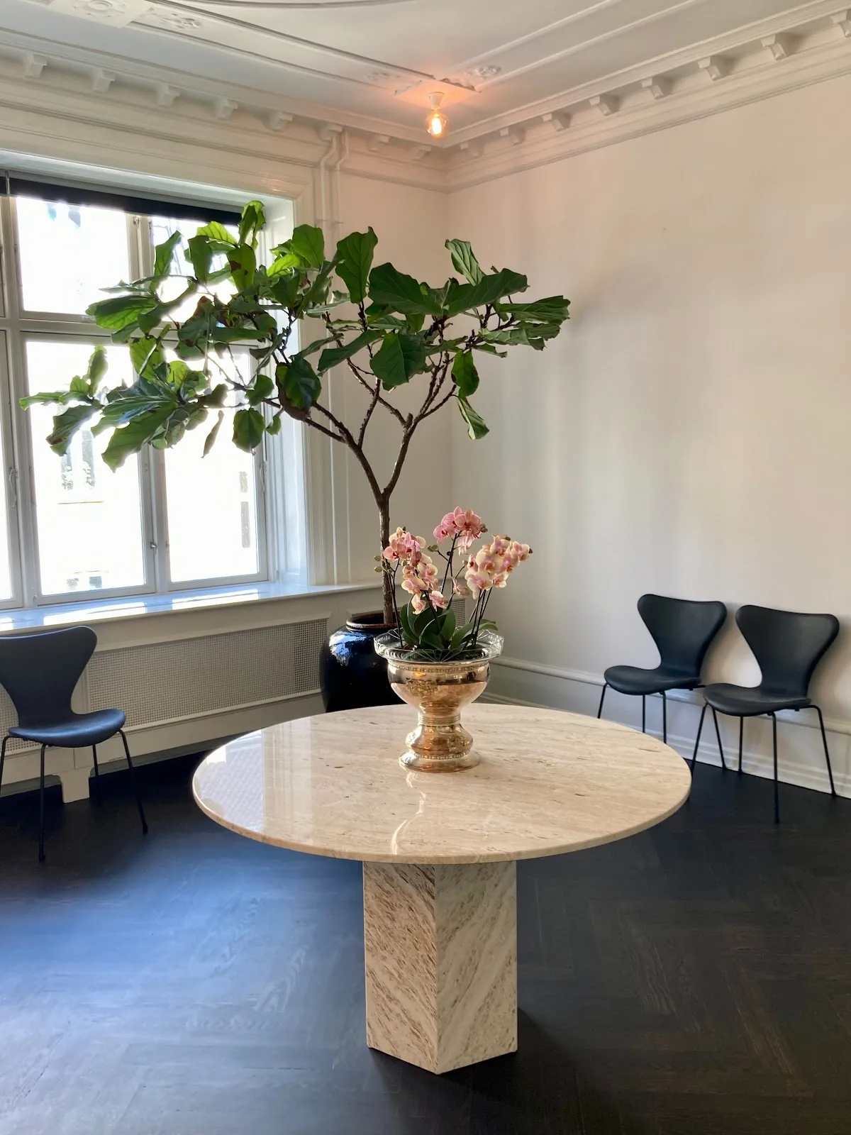 Juno IVF Fertilitetsklinik — photo 3