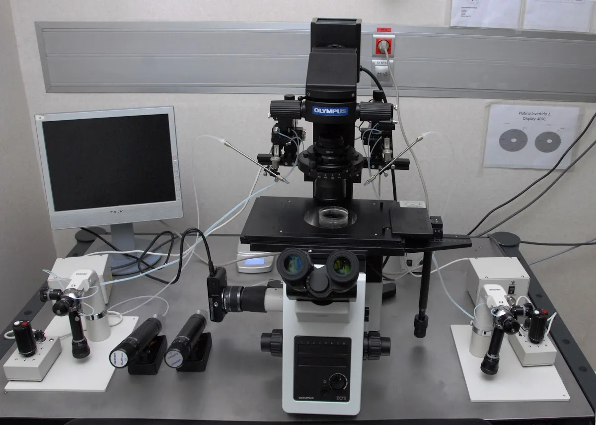 Minifiv - Clínica de Fertilidad y Reproducción Asistida — photo 5