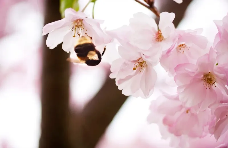 Nordic IVF &amp; Gynekologi Stockholm