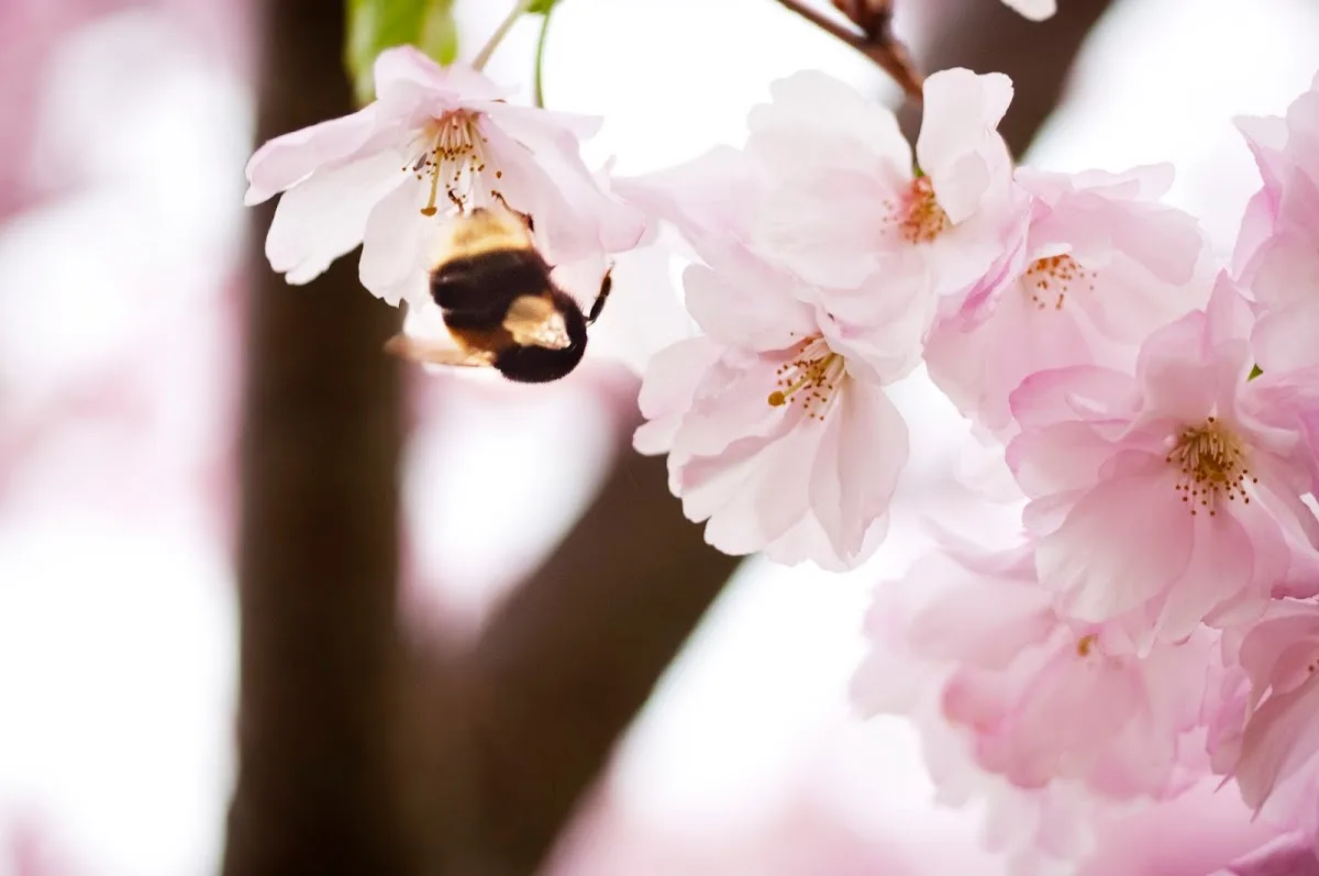 Nordic IVF &amp; Gynekologi Stockholm — photo 1