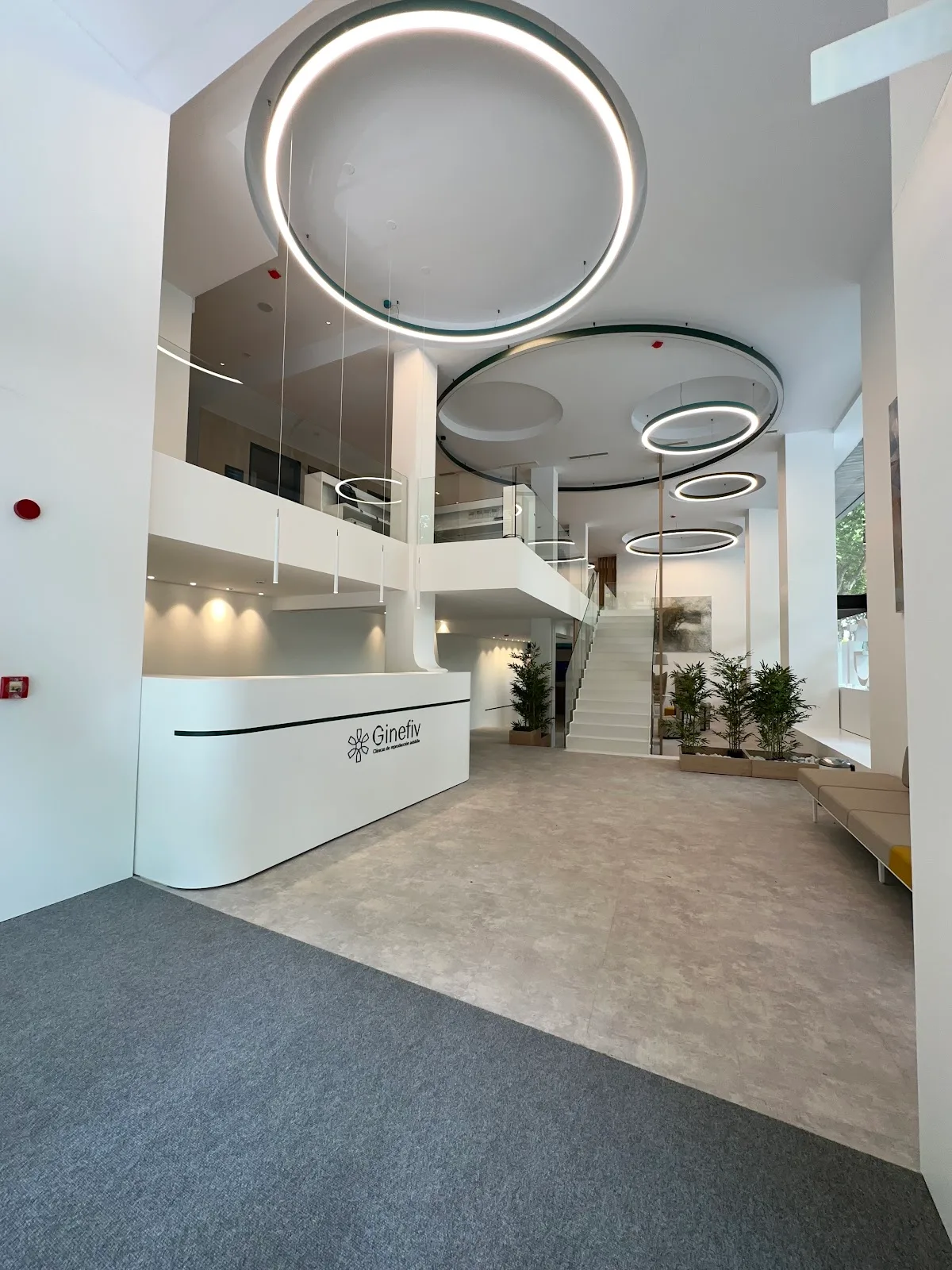 Clínica Ginefiv — photo 1