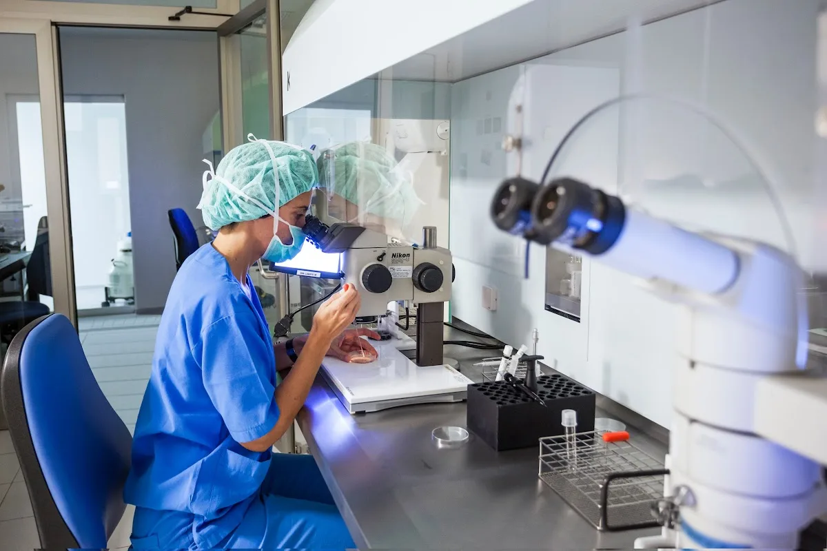 IVI Mallorca — photo 5