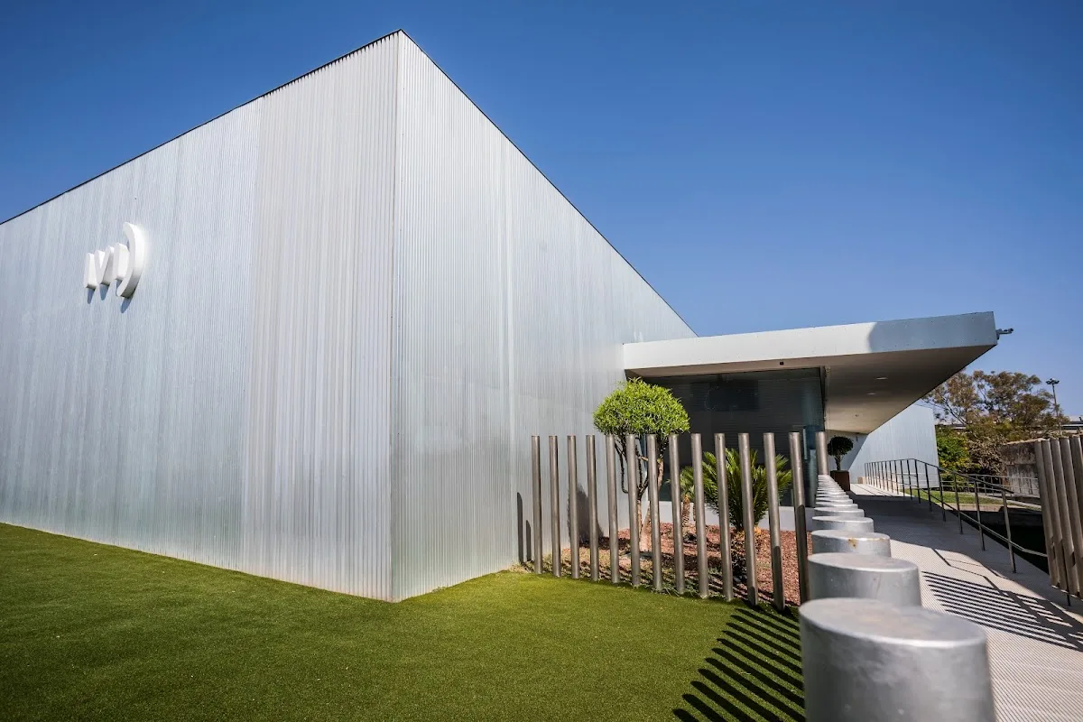 IVI Mallorca — photo 1