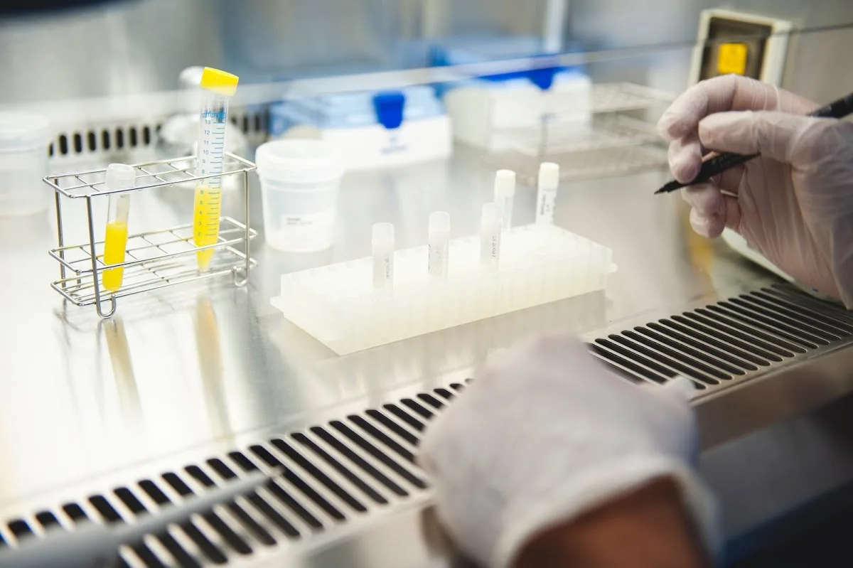 IVI Roma Parioli — photo 4