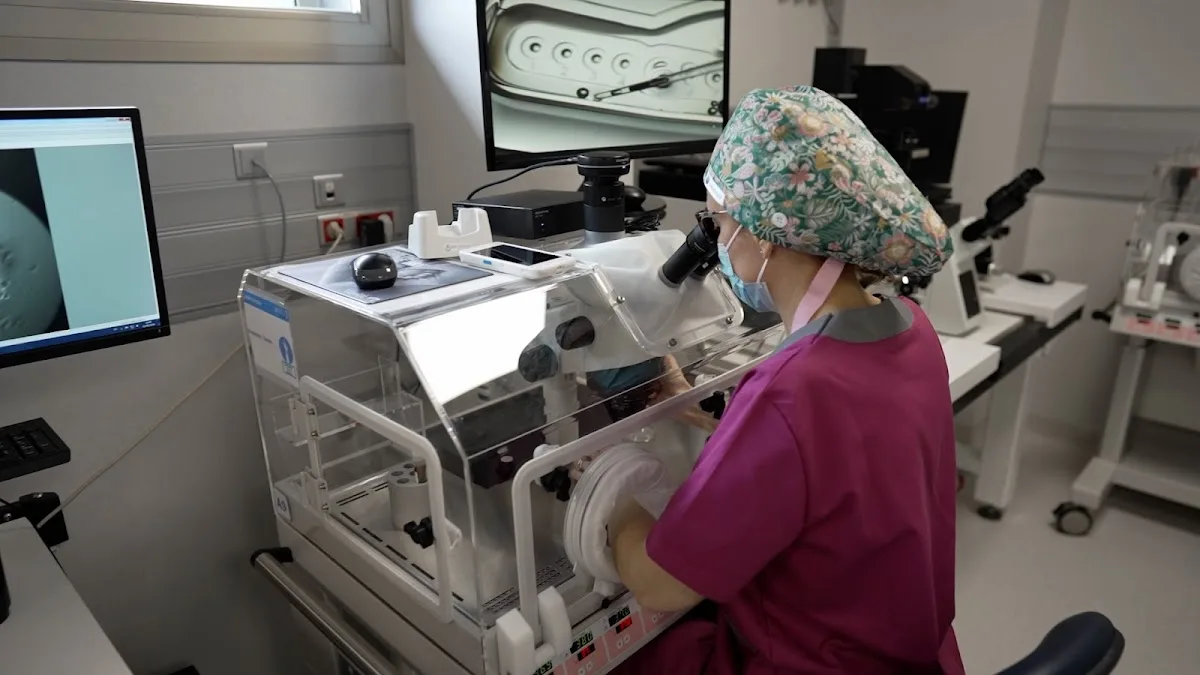 IVI Sevilla - Clínica de Reproducción Asistida y Fertilidad — photo 2