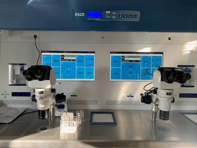 Livio Kungsholmen — photo 4