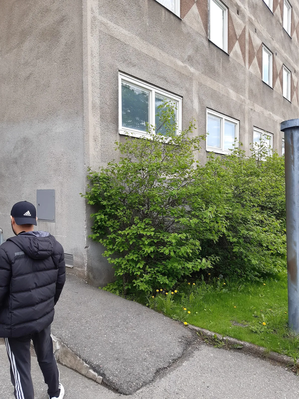 Livio Kungsholmen — photo 5