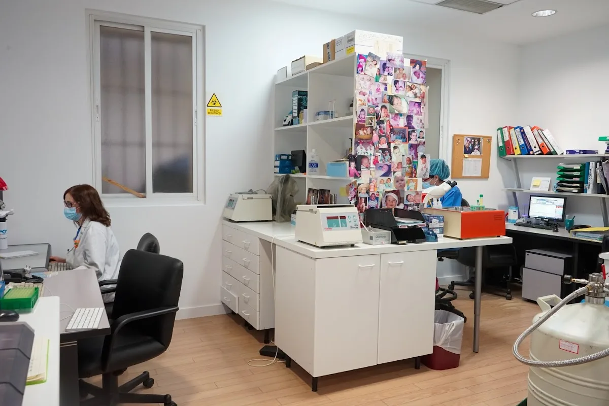 FIVMadrid — photo 4