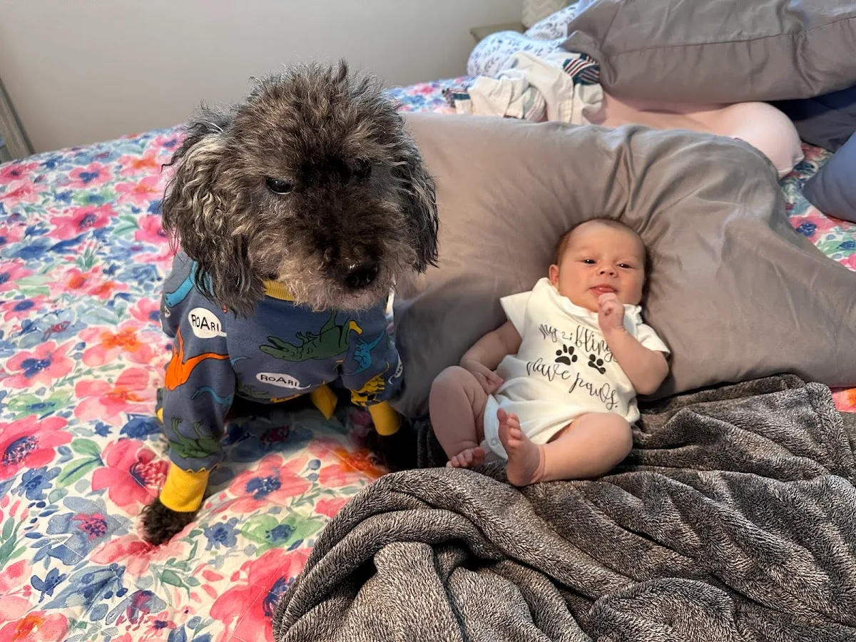 The IVF Center — photo 1