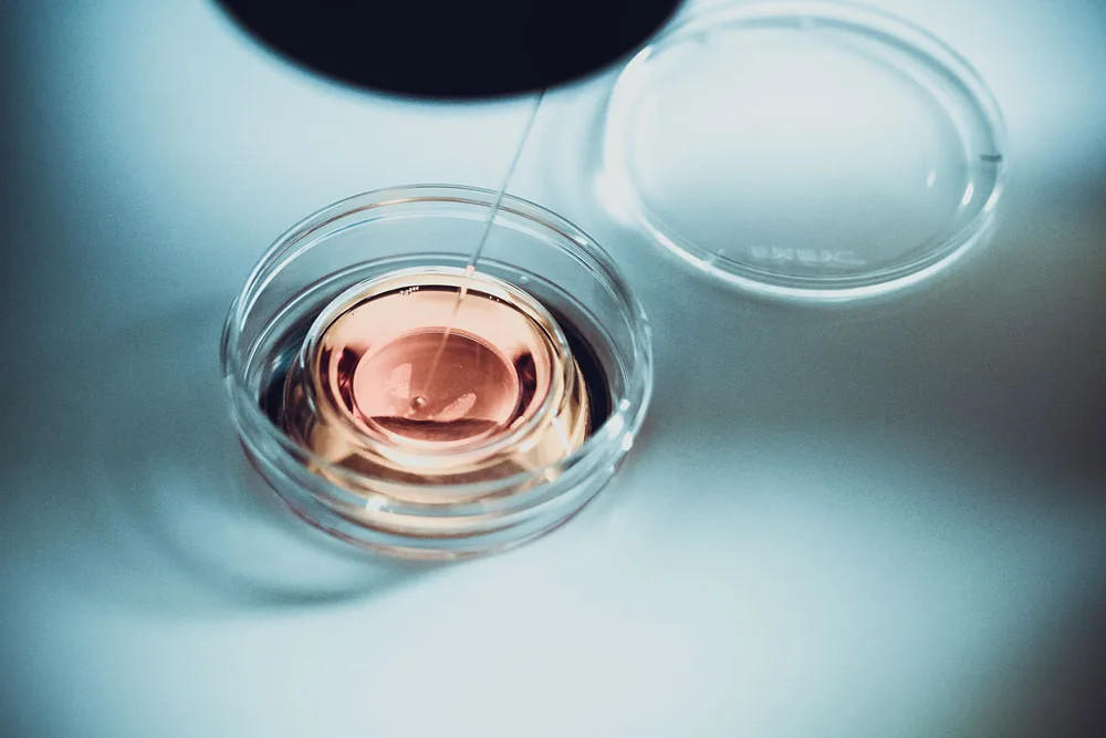 A.G.I. Medica — photo 3