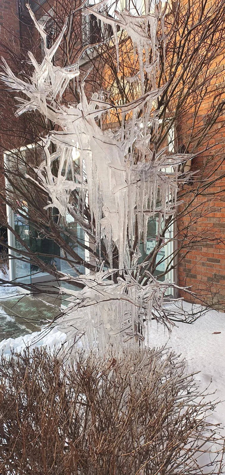 Astra Fertility Clinic — photo 5