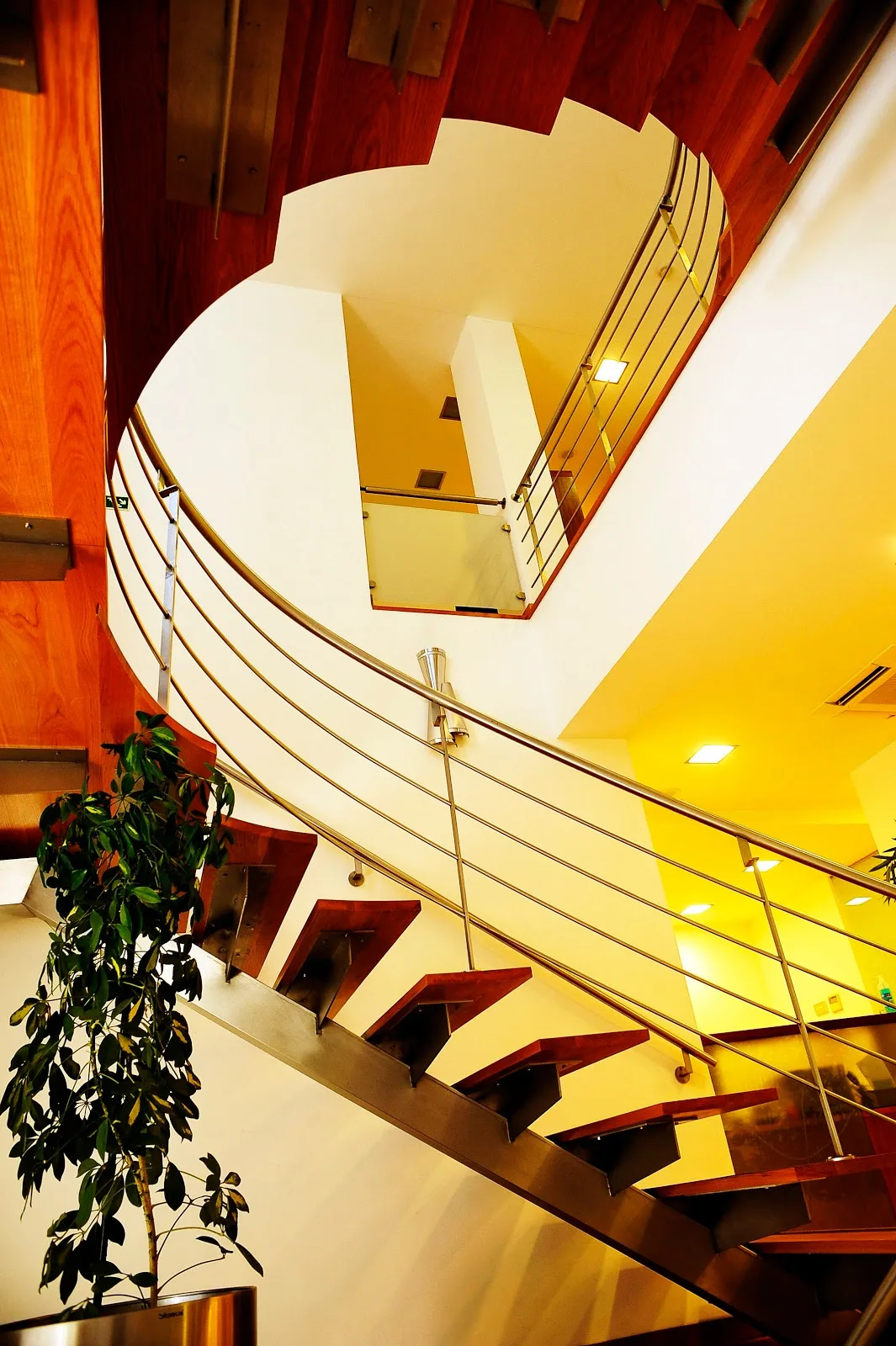 Ava Clinic Lisbon — photo 4