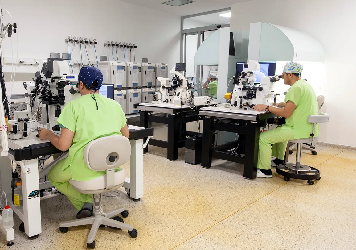 Bahçeci Fulya Tüp Bebek Merkezi — photo 1