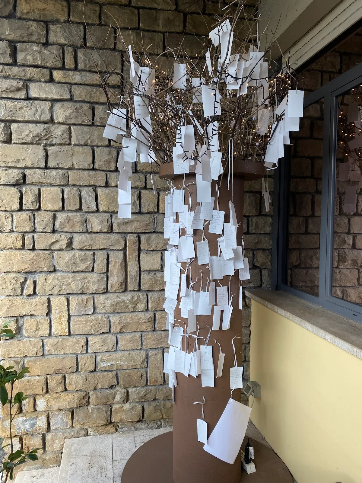 Centro Procreazione Assistita Demetra Srl — photo 3