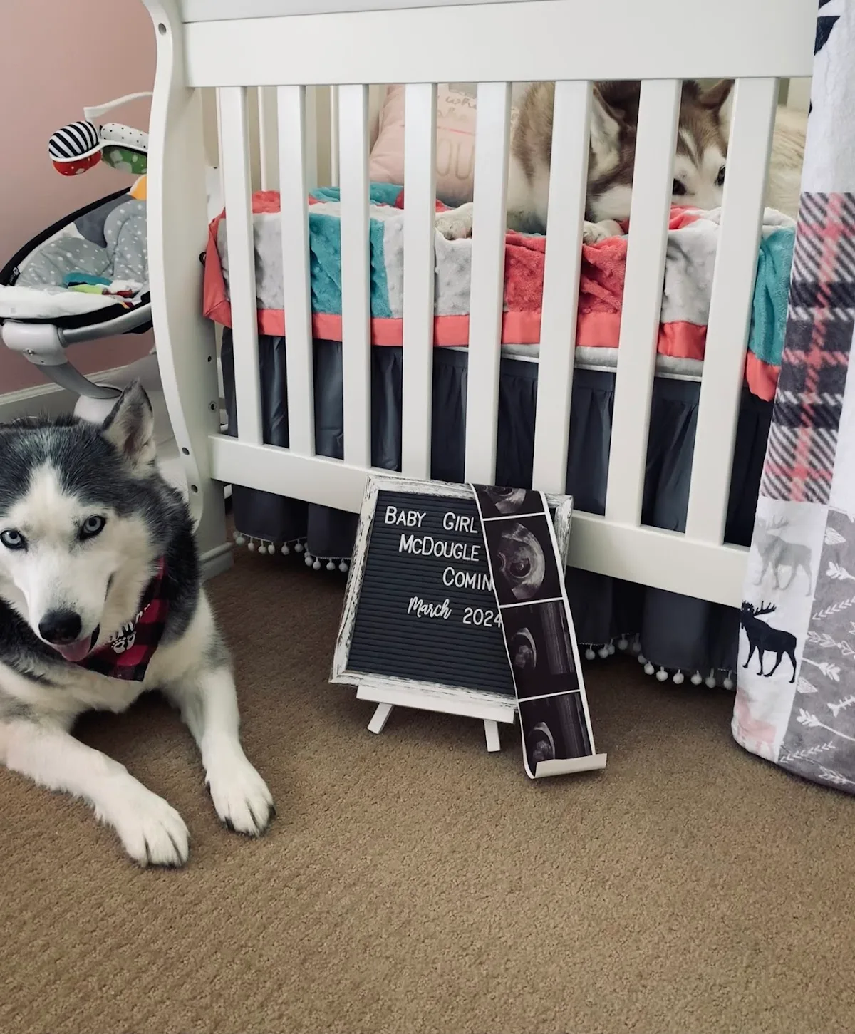 Conceptions Reproductive Associates of Colorado | RMA — photo 1