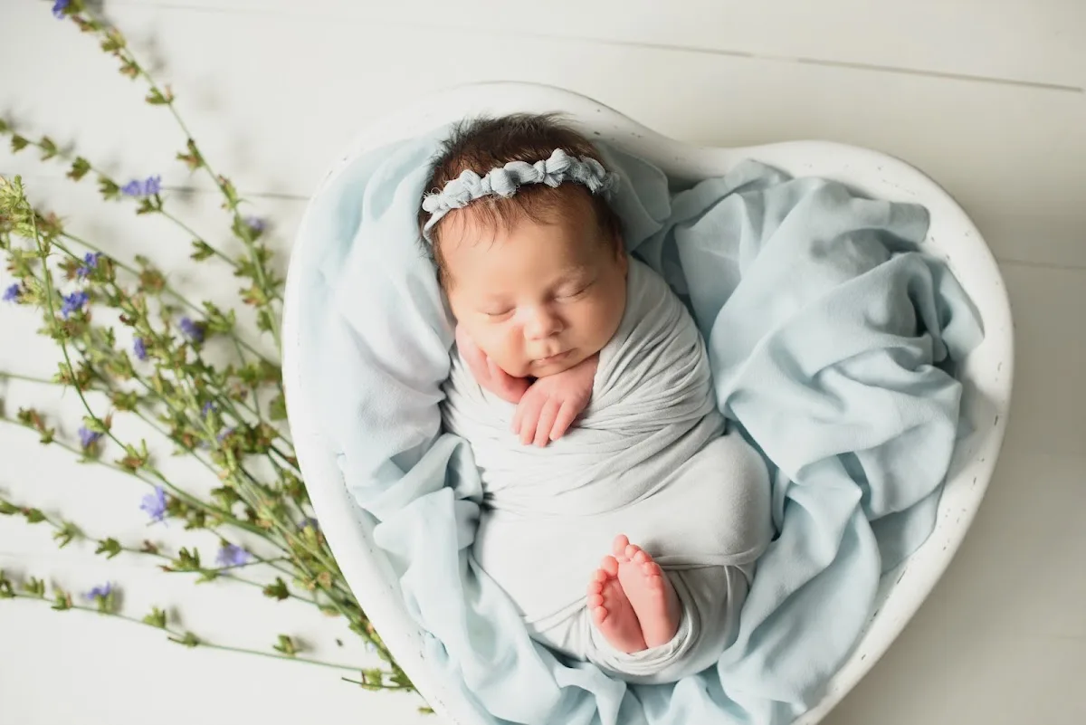 Donor Nexus — photo 5