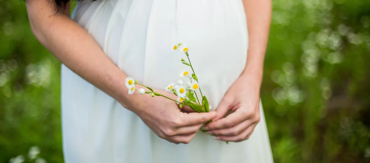 Donor Nexus — photo 1