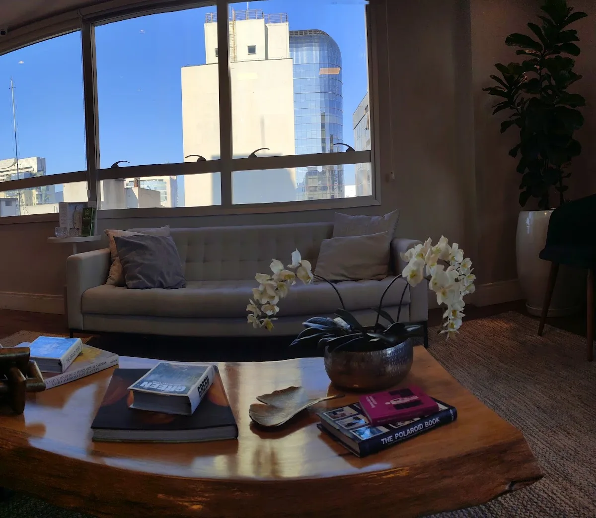 Dr. Alexandre Lobel | Tratamento da Infertilidade | São Paulo-SP — photo 5