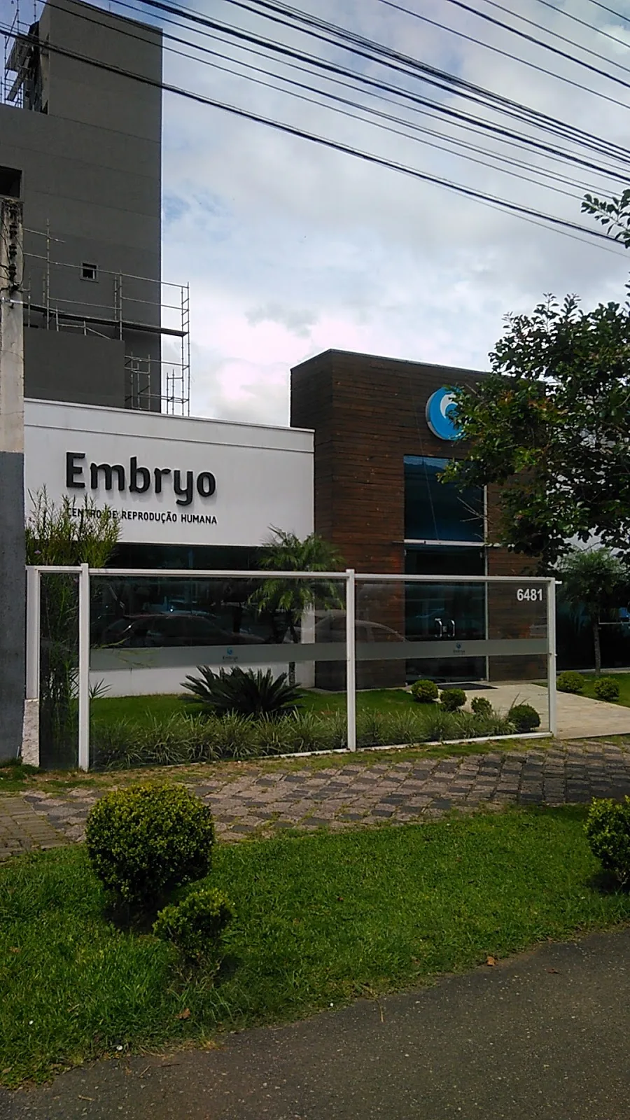 Embryo - Tratamento para Infertilidade — photo 2