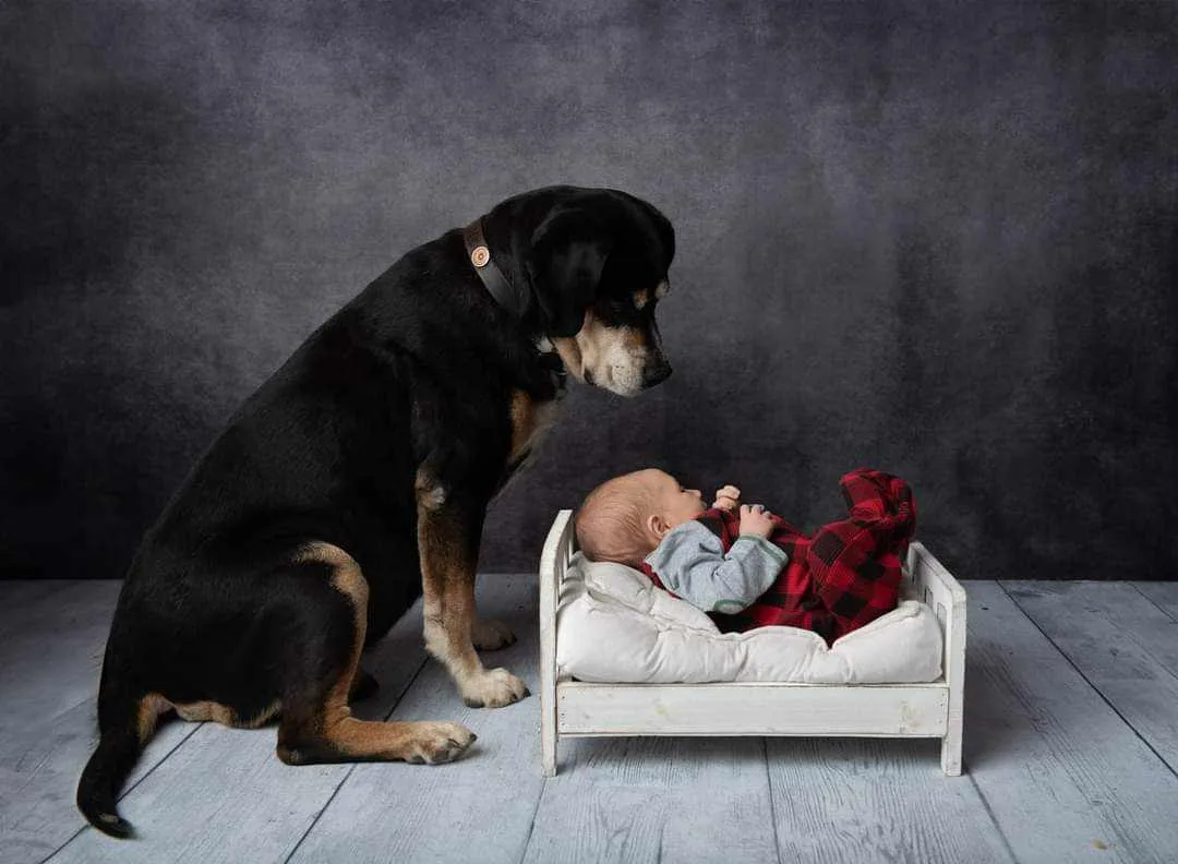 Fertility Associates of Memphis — photo 5