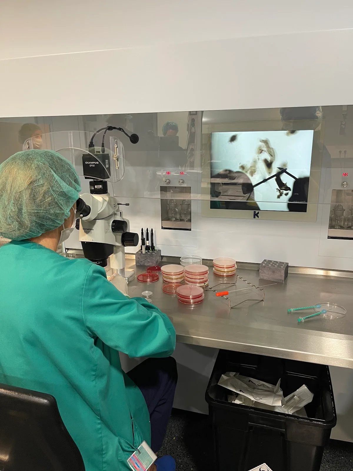 Fertility Barcelona Hospital QuirónSalud Barcelona — photo 2