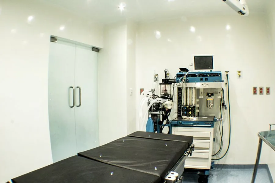 Fertility Day — photo 2