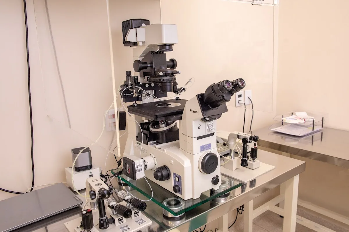 Generar Reprodução Humana — photo 5