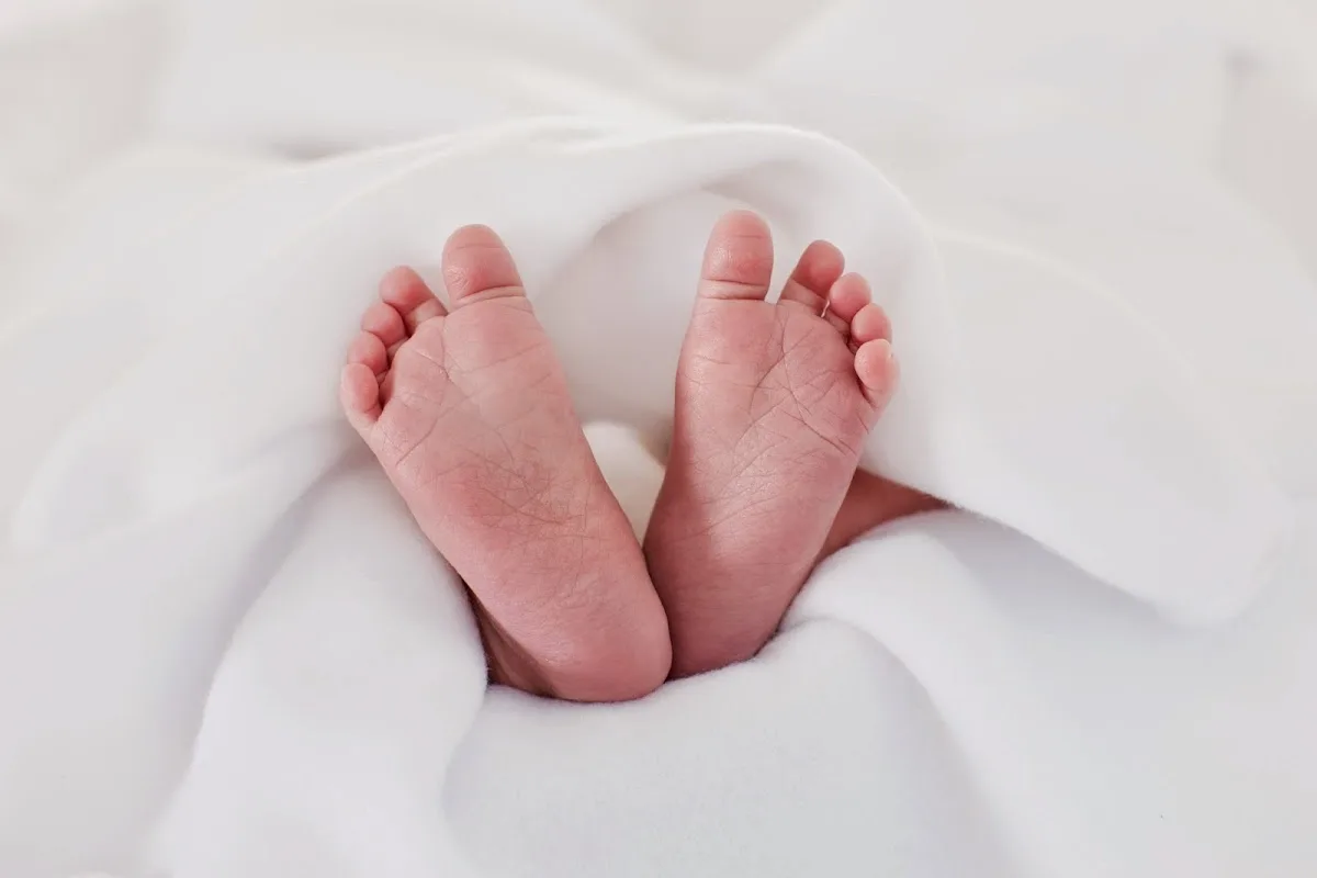 Hanabusa IVF — photo 5