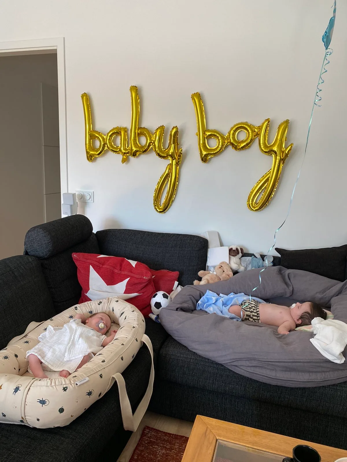 HermanFamily fertility &amp; law — photo 2