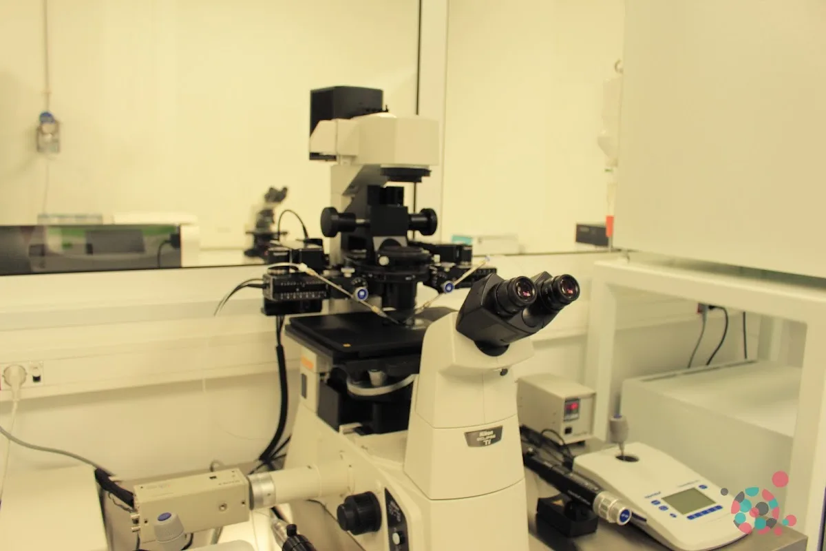 IERA - Lisboa — photo 2