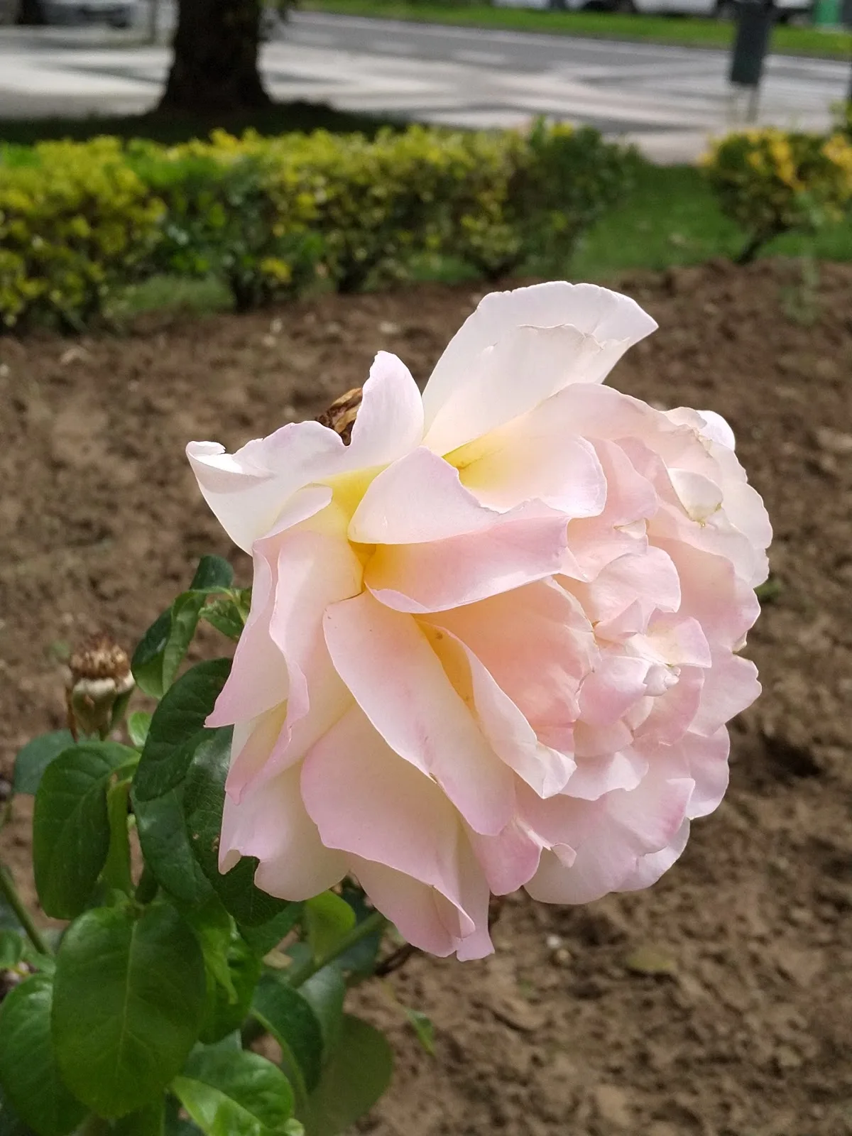 IGIN Vitoria - Especialistas Reproducción Asistida — photo 4