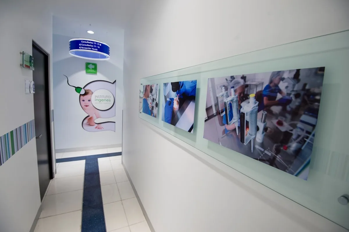 Ingenes Mérida — photo 3