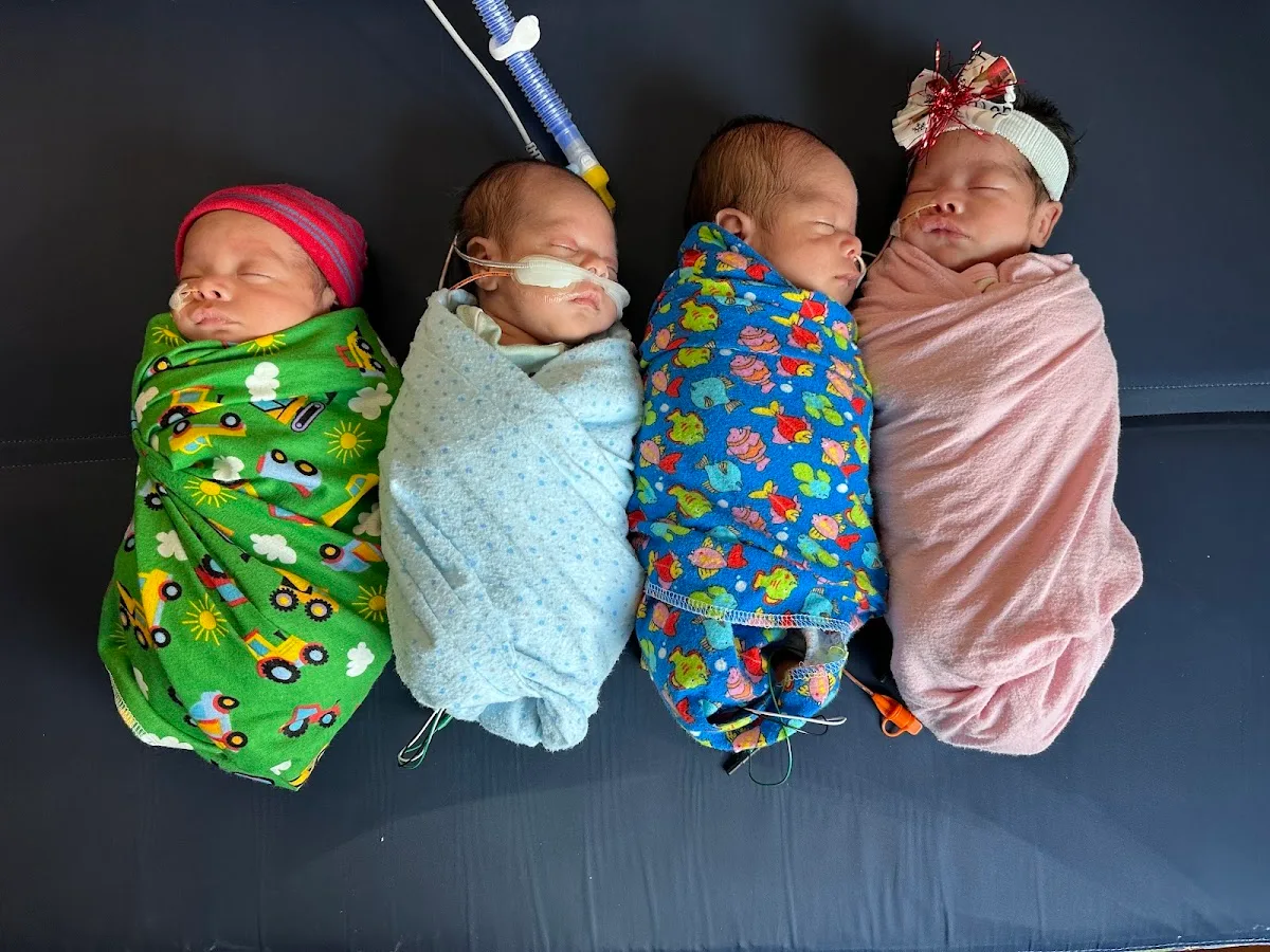 Ingenes Mérida — photo 5