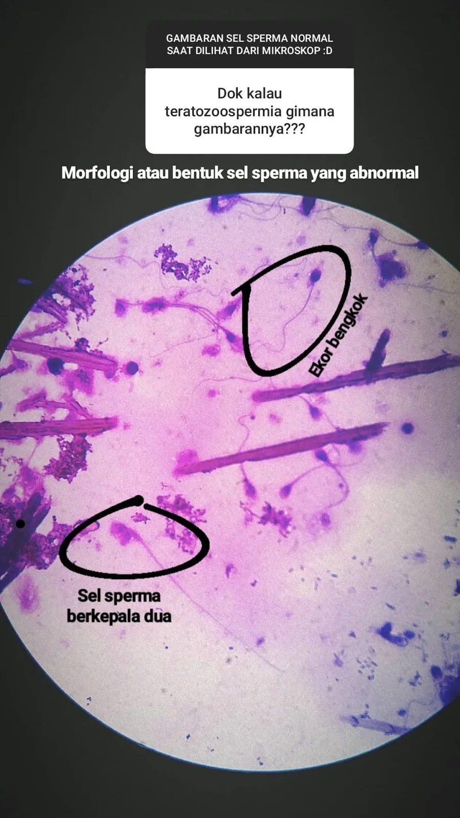 Klinik Fertilitas &amp; Bayi Tabung Tiara Cita — photo 1