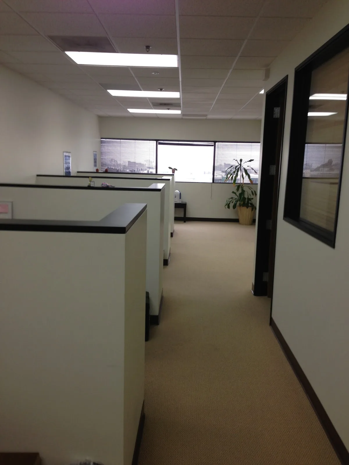 LA Baby Fertility Agency — photo 1