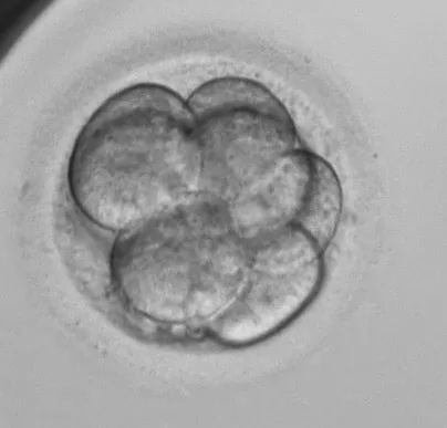 Leicester Fertility Centre — photo 5