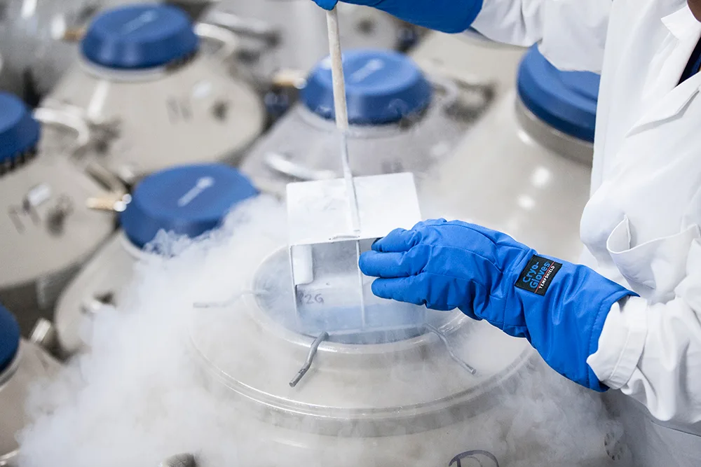 London Women's Clinic — photo 2