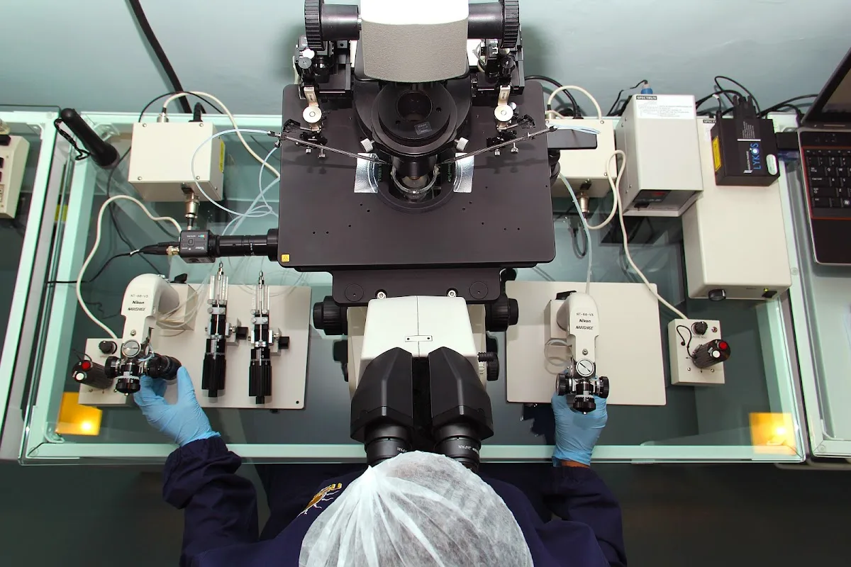 Nascer Medicina Reprodutiva — photo 1