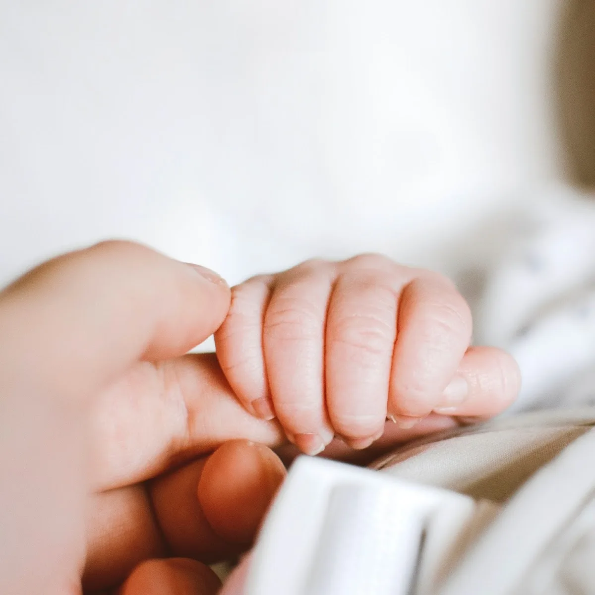 New Fertility Group presso European Hospital Roma — photo 1